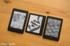 paperwhite-oasis-voyage-familie