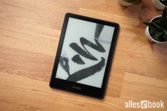 paperwhite-1-tisch